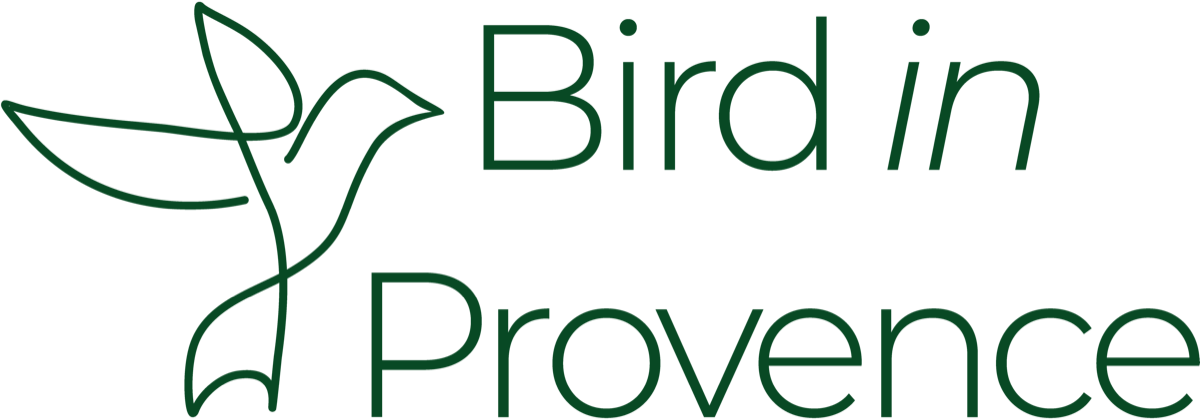 Bird in Provence